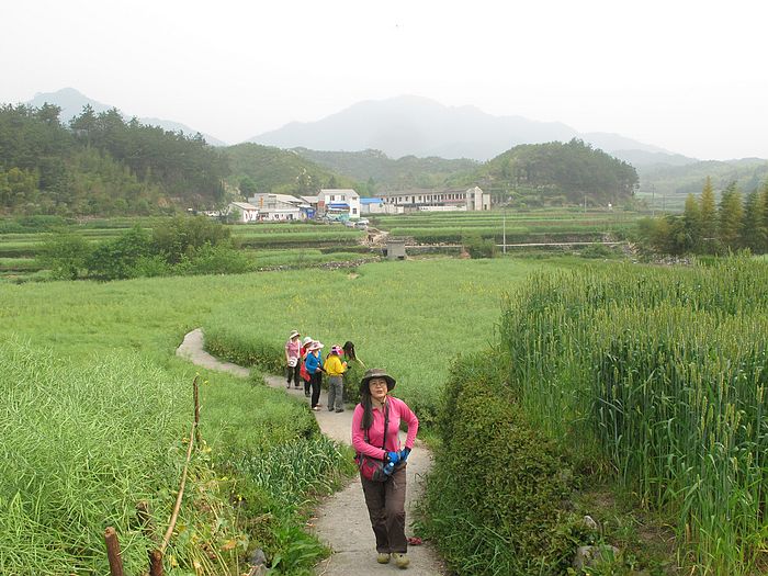 nEO_IMG_徽杭古道 415.jpg