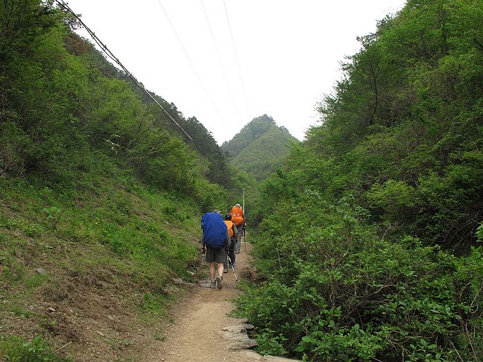 nEO_IMG_徽杭古道 503.jpg
