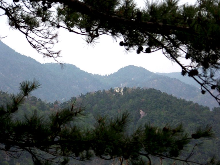 100_2539_缩小大小.JPG