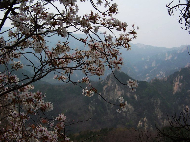 100_2561_缩小大小.JPG