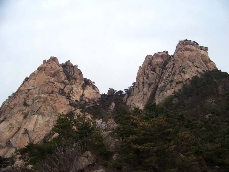 100_2567_缩小大小.JPG