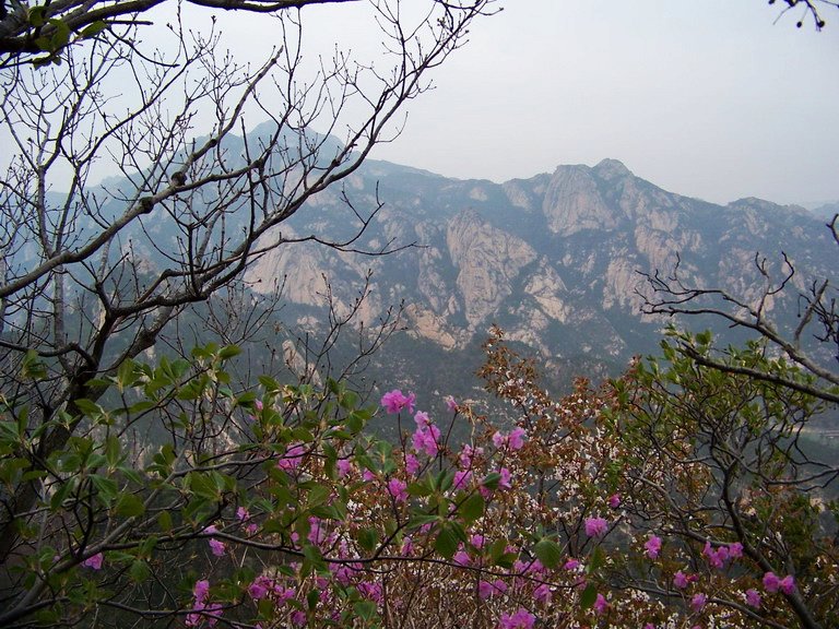 100_2582_缩小大小.jpg