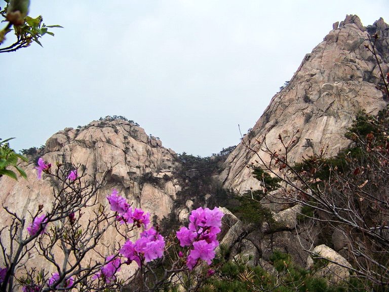 100_2581_缩小大小.jpg