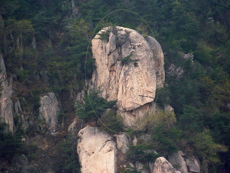 100_2594_缩小大小.JPG