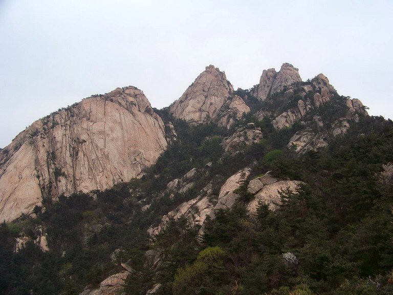 100_2595_缩小大小.JPG