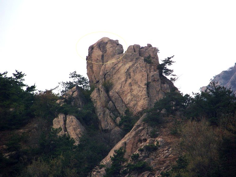 100_2627_缩小大小.JPG