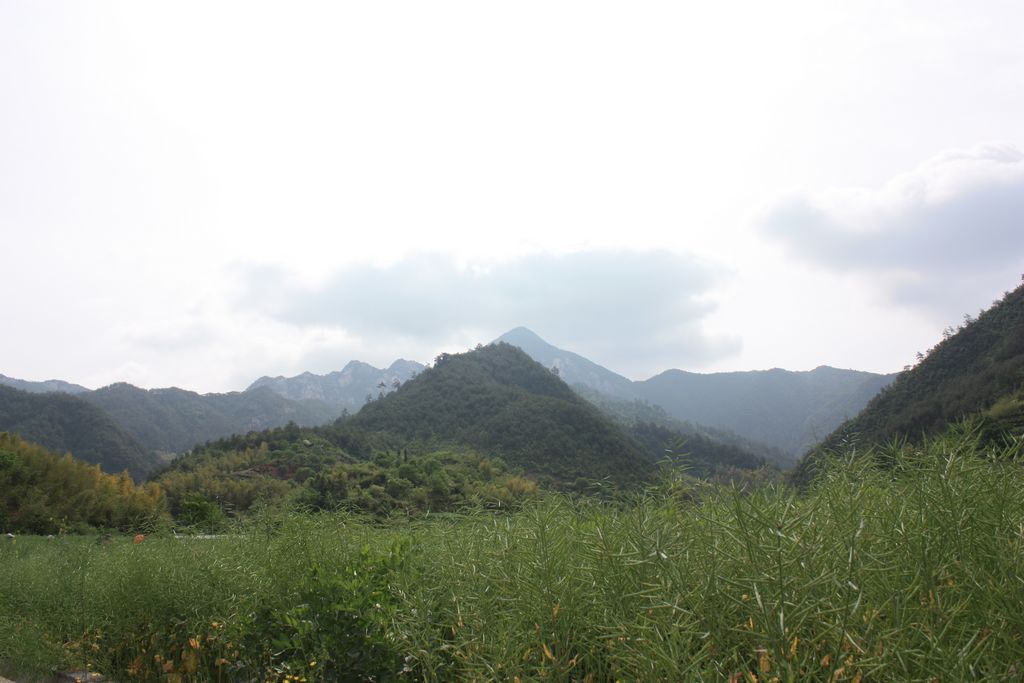 照片 049.jpg