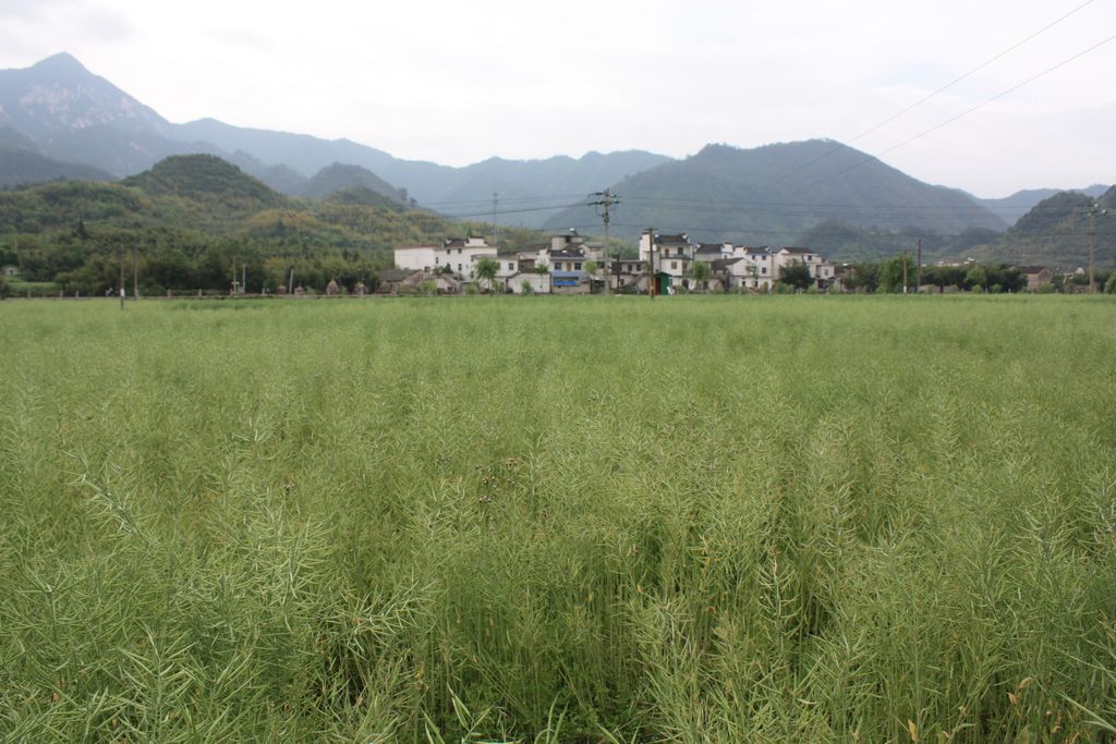 照片 036.jpg
