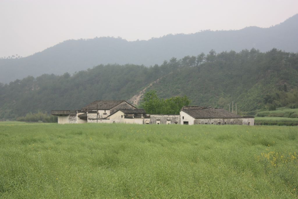 照片 297.jpg