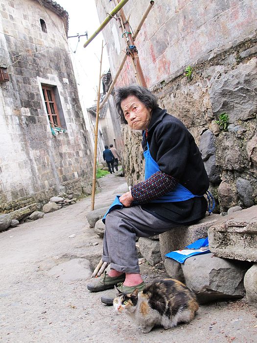 老人与猫，很清苦的样子