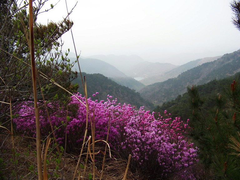 100_2798_缩小大小.JPG