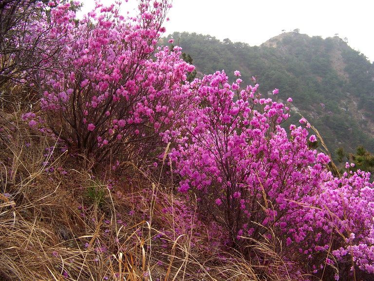 100_2809_缩小大小.JPG