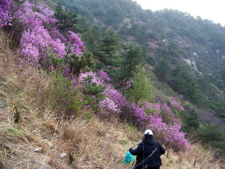 100_2825_缩小大小.JPG