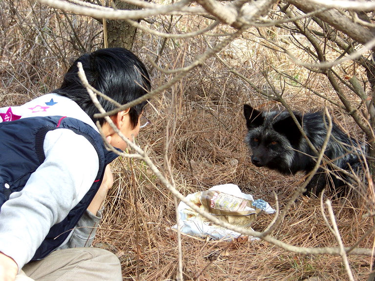 100_2858_缩小大小.JPG