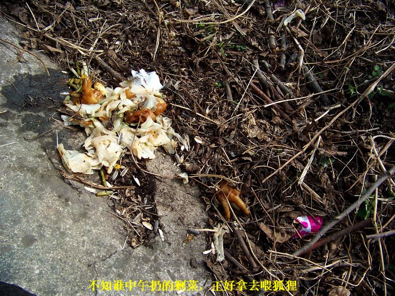 100_2871_缩小大小.JPG