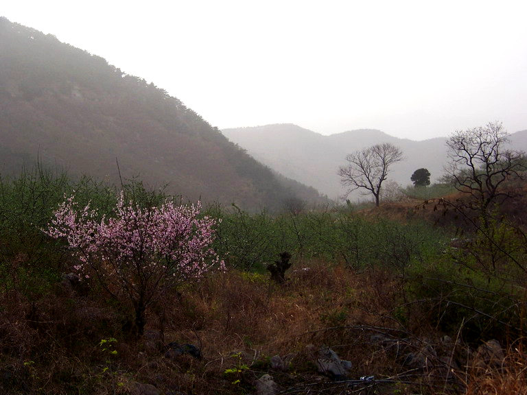 100_2886_缩小大小.JPG