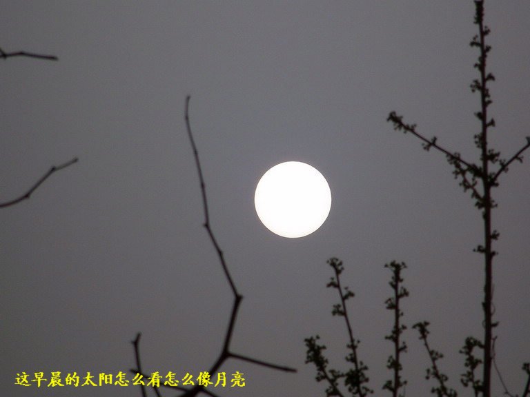 100_2896_缩小大小.JPG