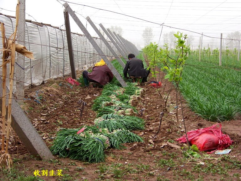100_2897_缩小大小.JPG