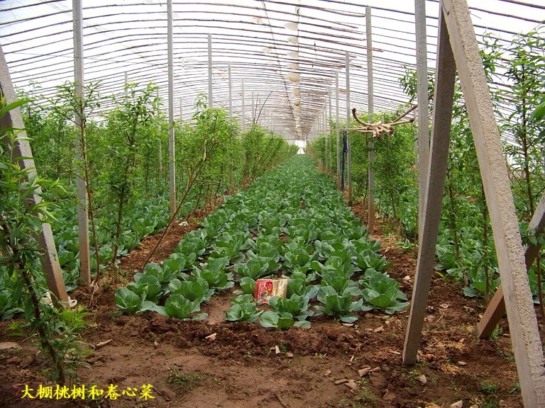100_2905_缩小大小.JPG