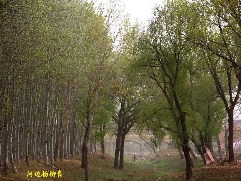 100_2908_缩小大小.JPG