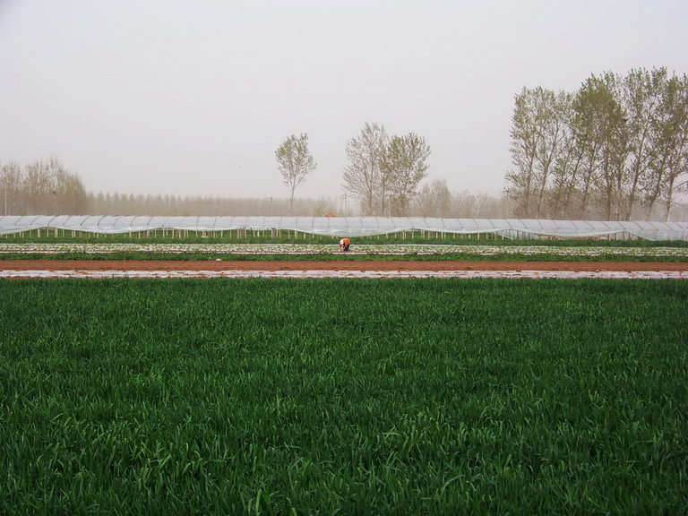 100_2945_缩小大小.JPG