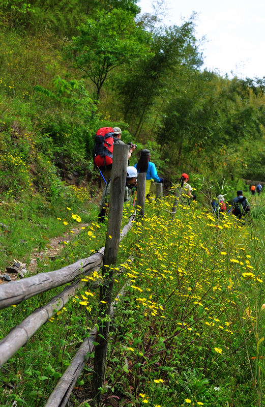 龙须山、徽杭古道 062.jpg