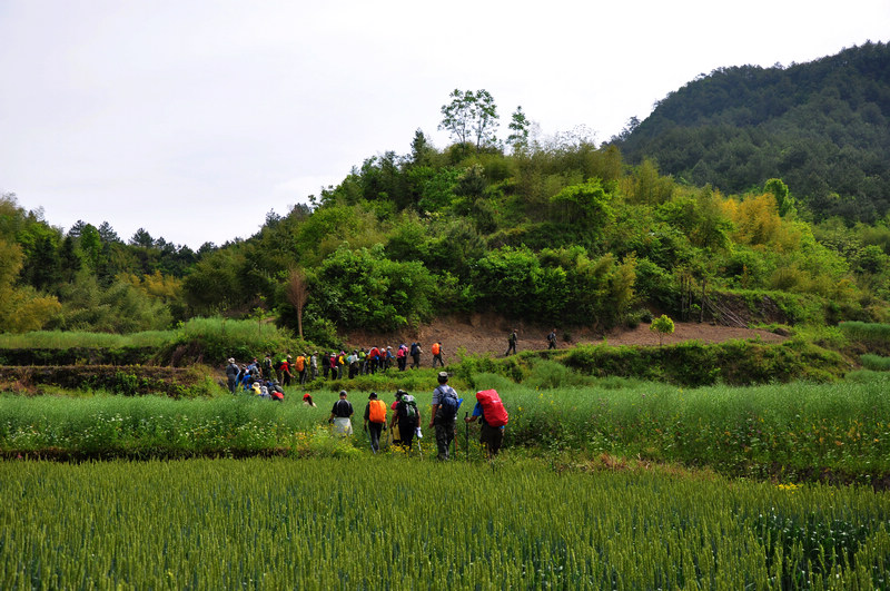 龙须山、徽杭古道 065.jpg