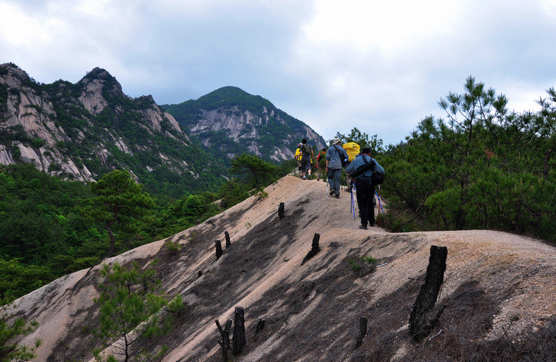 龙须山、徽杭古道 093.jpg