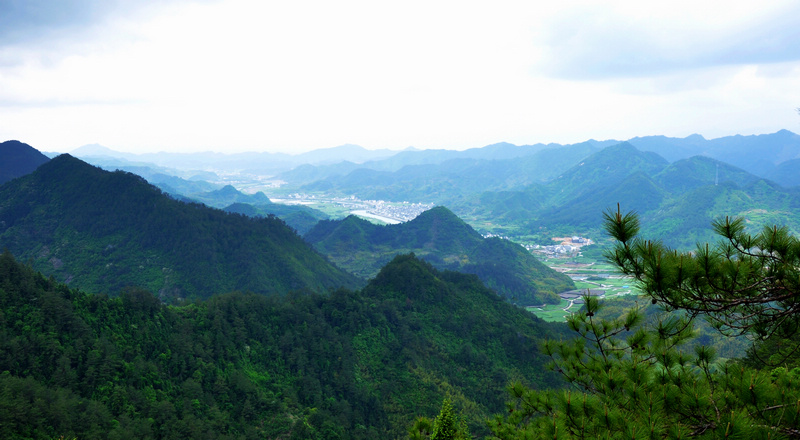 龙须山、徽杭古道 099.jpg