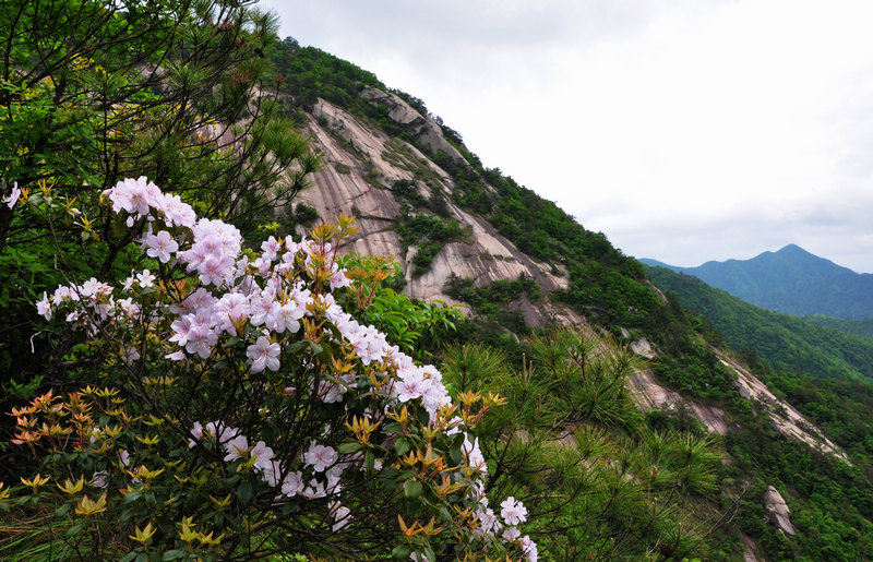 龙须山、徽杭古道 180.jpg