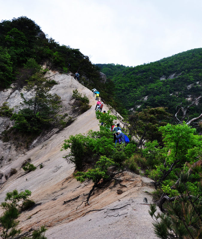 龙须山、徽杭古道 199.jpg
