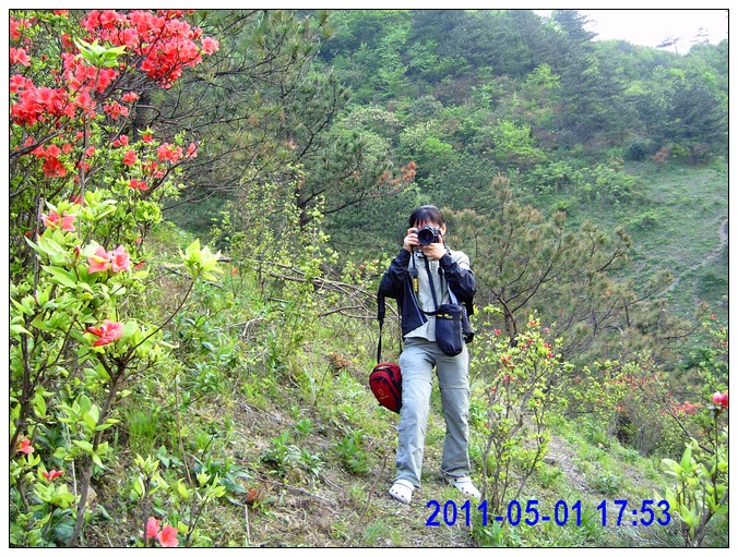 PICT2077.jpg