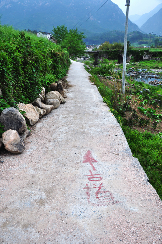 龙须山、徽杭古道 371.jpg