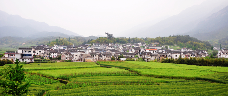 龙须山、徽杭古道 421.jpg