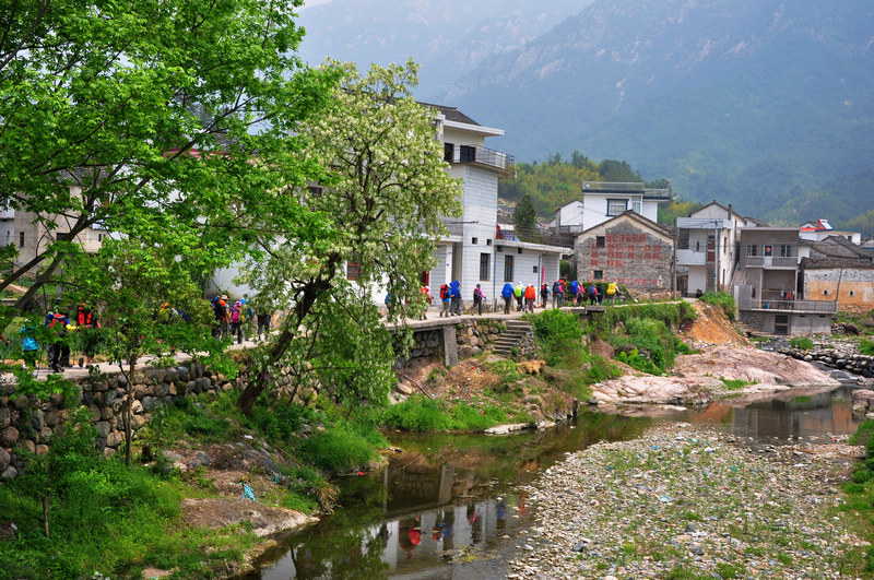 龙须山、徽杭古道 488.jpg