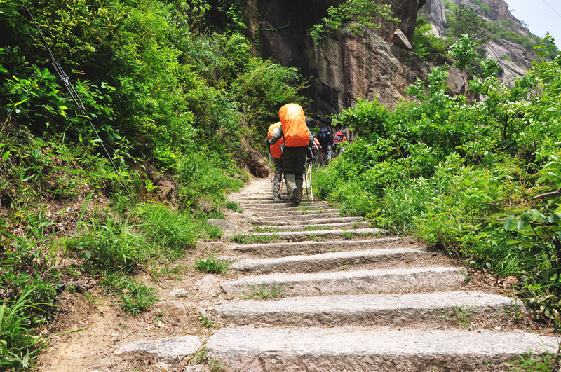 龙须山、徽杭古道 520.jpg