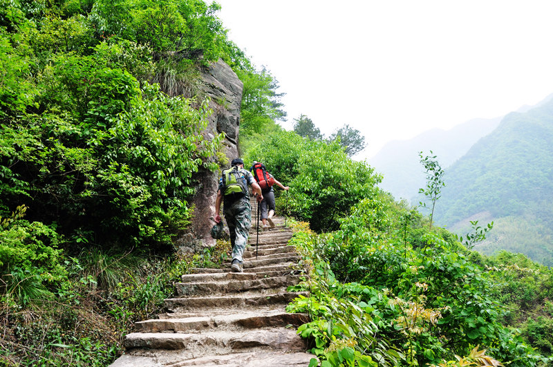 龙须山、徽杭古道 535.jpg