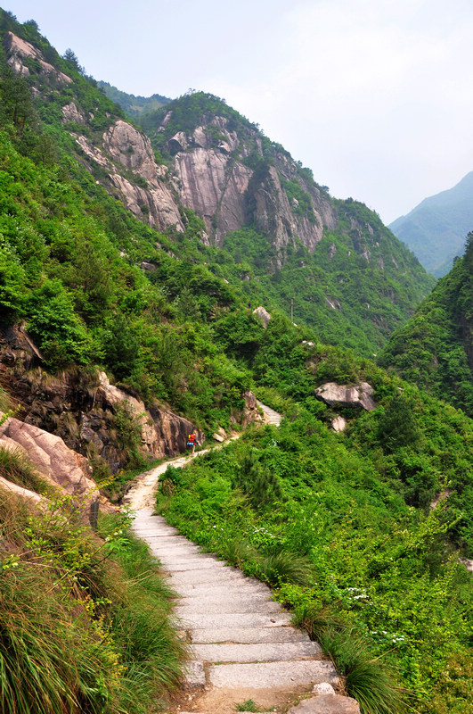 龙须山、徽杭古道 529.jpg