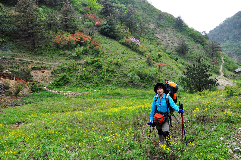 龙须山、徽杭古道 566.jpg