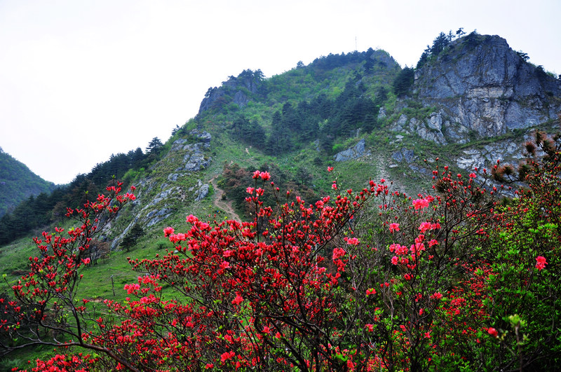 龙须山、徽杭古道 597.jpg