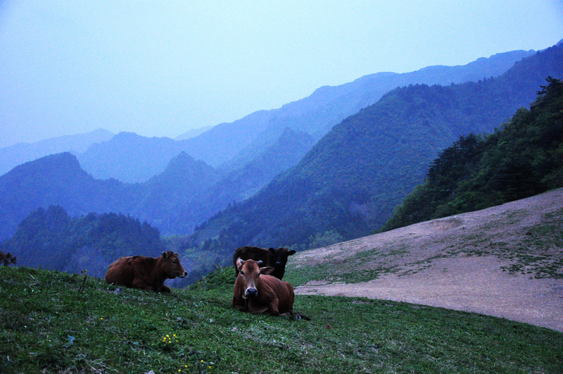 龙须山、徽杭古道 634.jpg