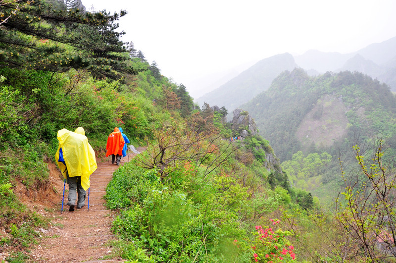 龙须山、徽杭古道 649.jpg