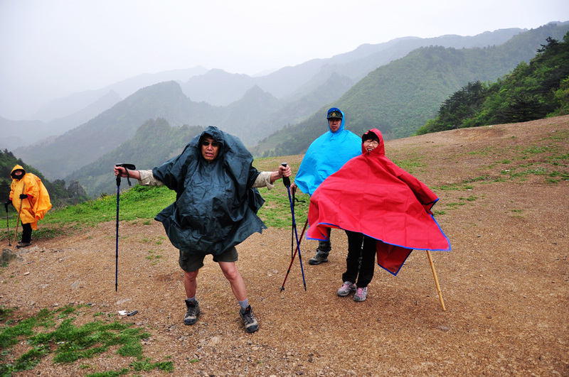 龙须山、徽杭古道 637.jpg