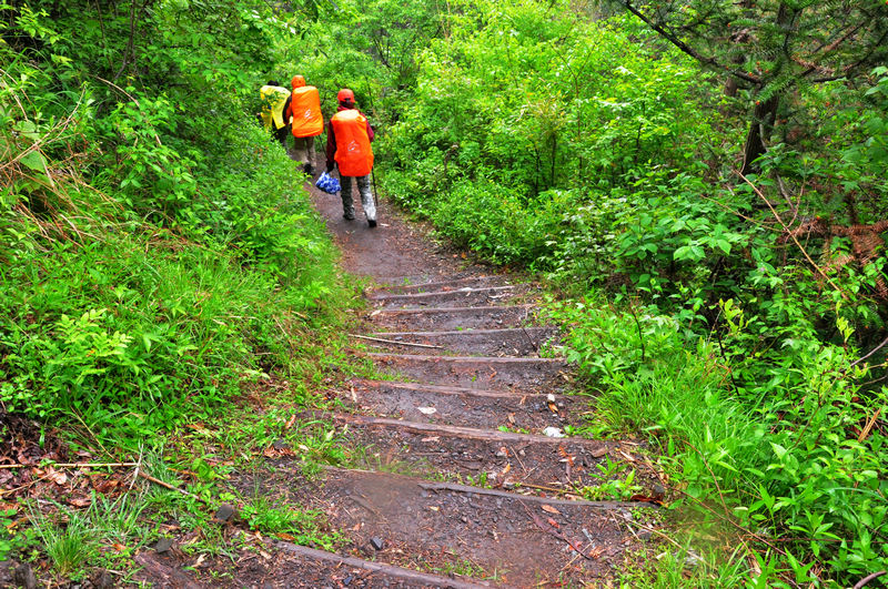龙须山、徽杭古道 662.jpg