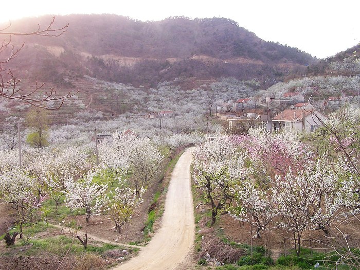 土路.jpg