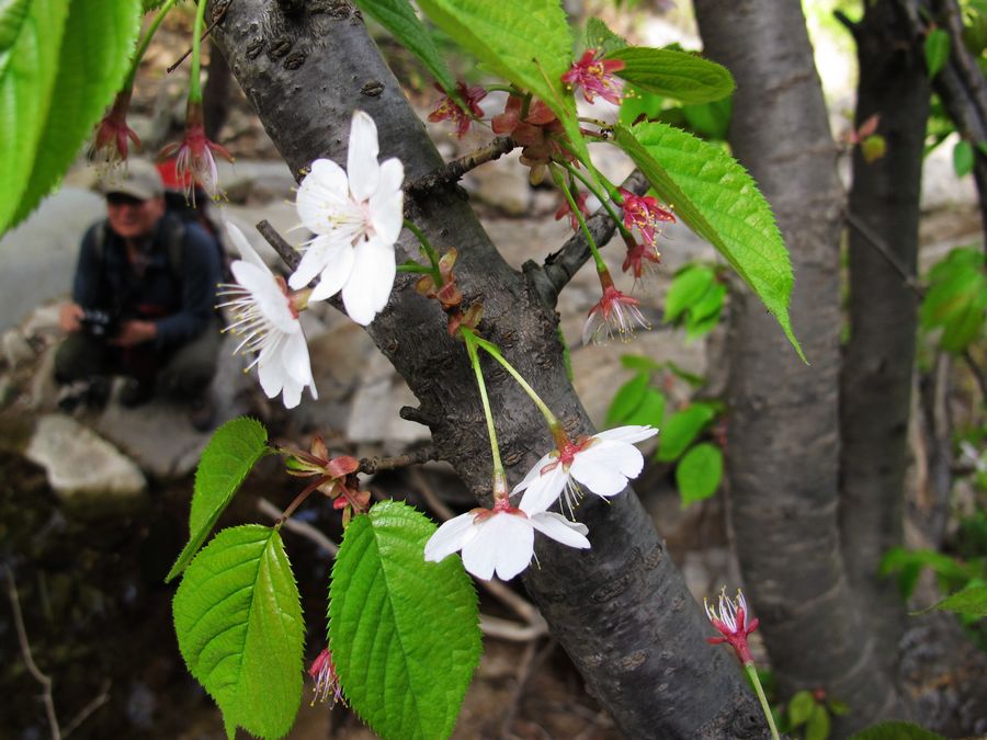 IMG_0019.jpg