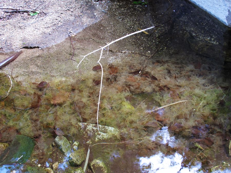 IMG_0018.jpg