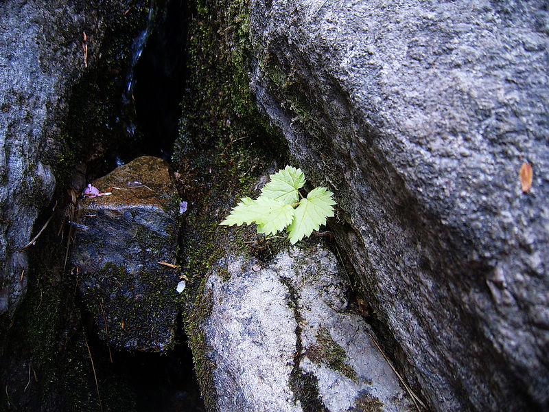 nEO_IMG_SUC52859.jpg