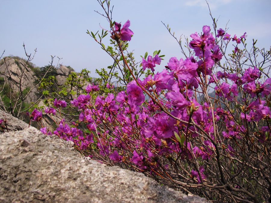 IMG_0180.jpg