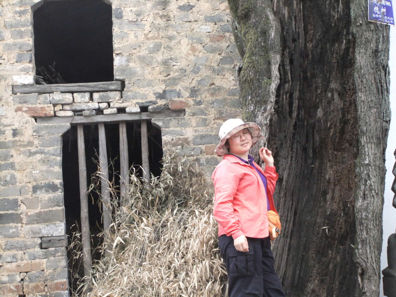 DSCF1522.jpg